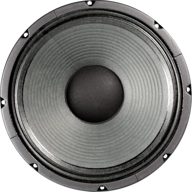 ニューオフィシャル 12個×2、G-I 12個×4 Amazon.com: Speaker - Jensen Vintage Neo, 12